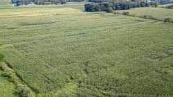 2: Drone Stills